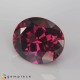 rhodolite garnet Rhodolite Garnet image