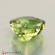 demantoid garnet Demantoid Garnet image