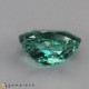 apatite image