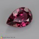 rhodolite garnet image