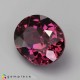 rhodolite garnet image