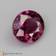 rhodolite garnet Rhodolite Garnet image